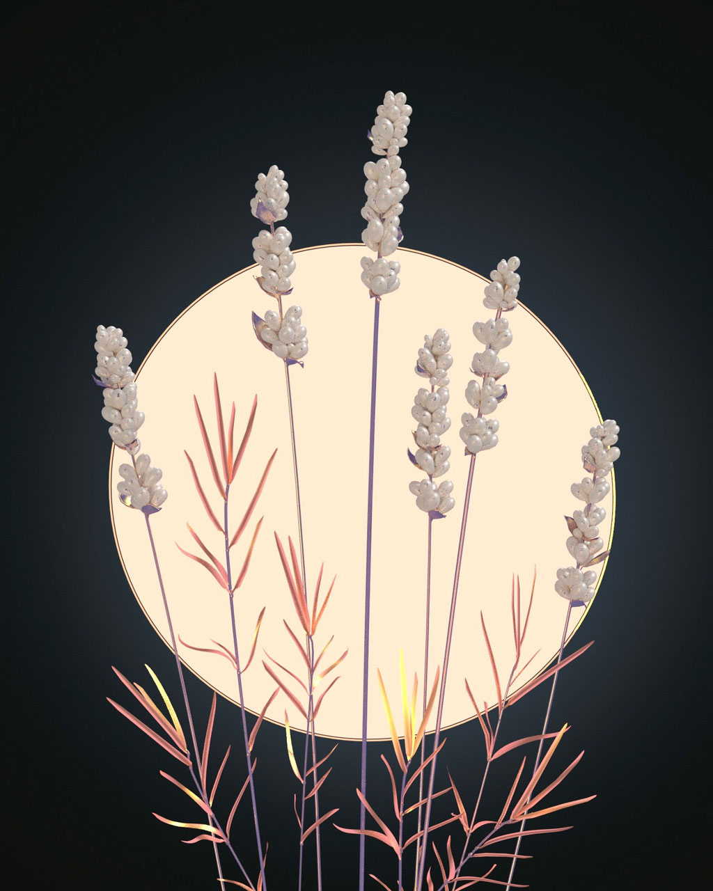 lavender